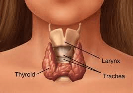 Thyroid Disorders