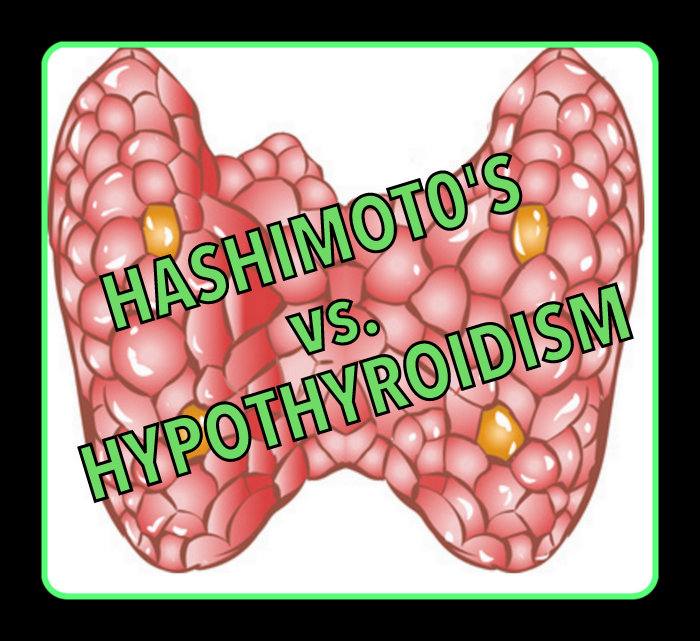 Hypothyroidism and Hashimoto's Disease