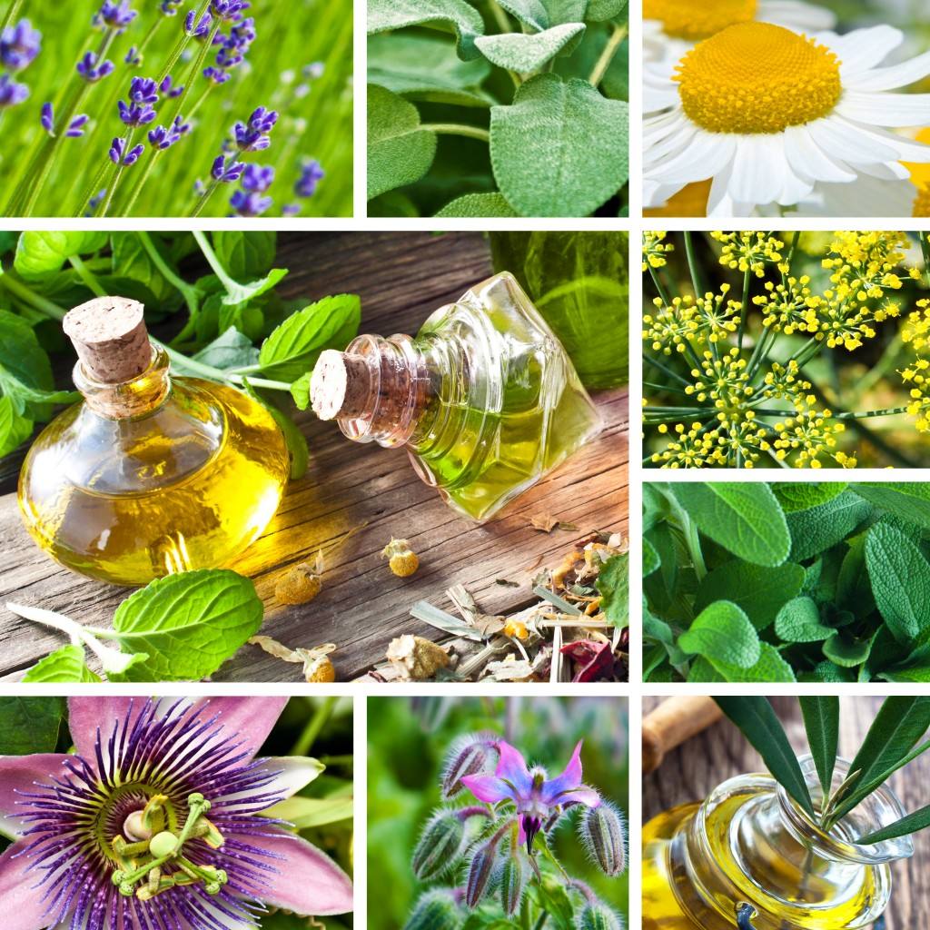 Home Remedies, Natural Remedies, Herbal And Homeopathic remedies