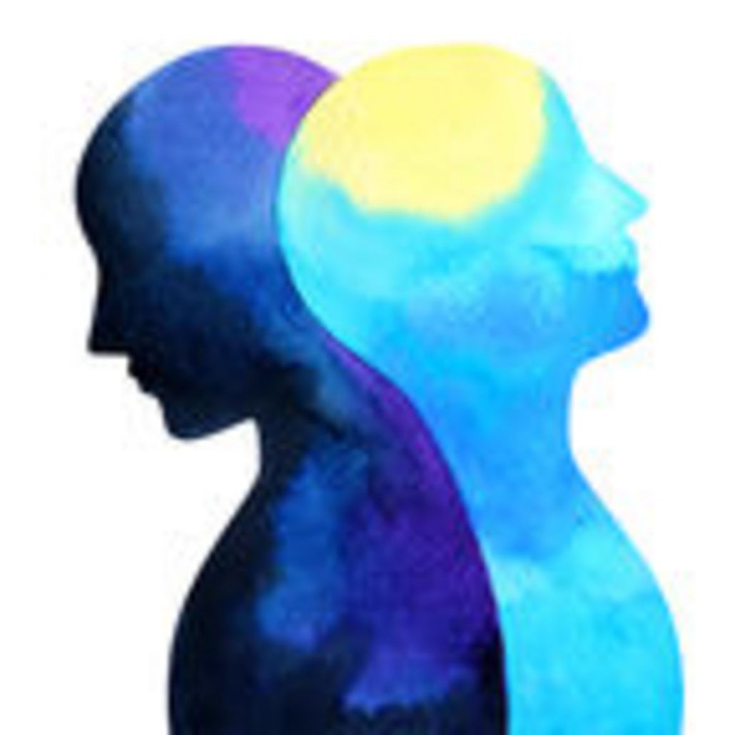 Natural treatment of bipolar disorder